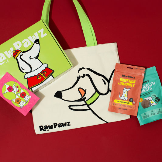 Chinese New Year Charity Goodie Bag